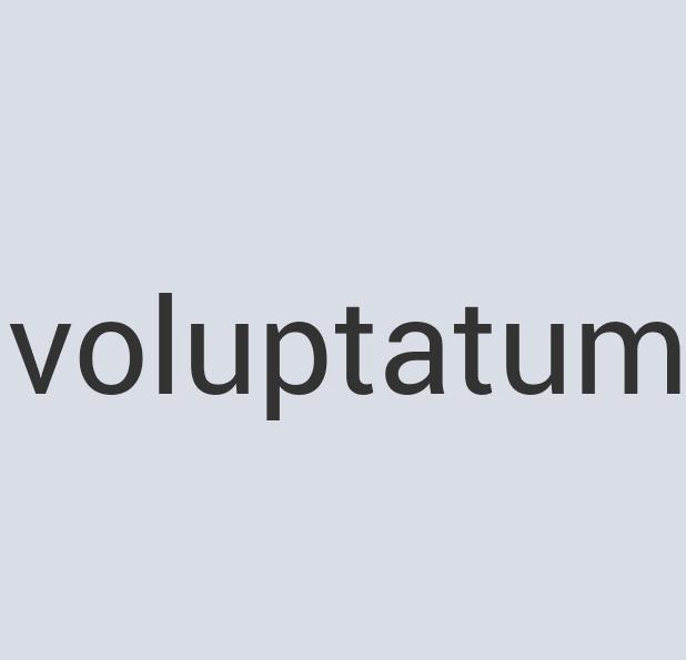 Ergonomic Wooden Zipak