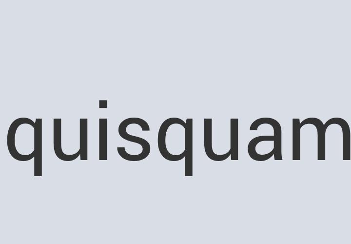 Lightweight Iron Power Zilla