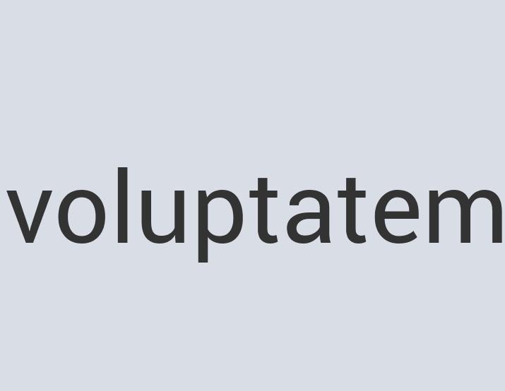 Heavy Duty Paper Plexi Koogle