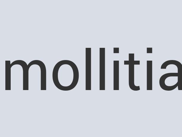 Ergonomic Iron Sunclipse