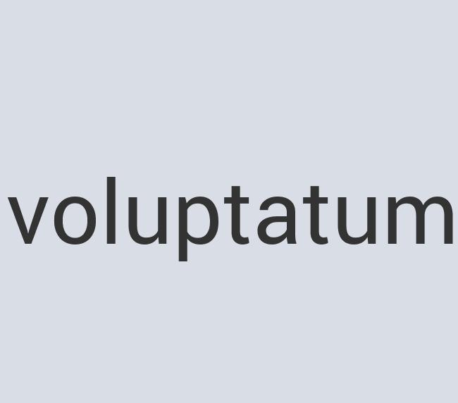 Heavy Duty Bronze Mannequin Mime