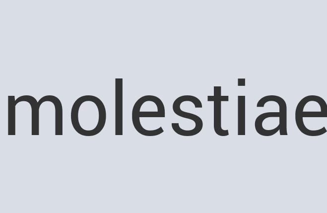 Intelligent Leather Bricksoil