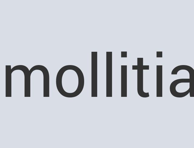 Ergonomic Linen Multiform