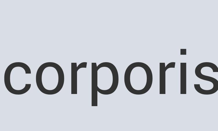 Mediocre Leather Applitrans