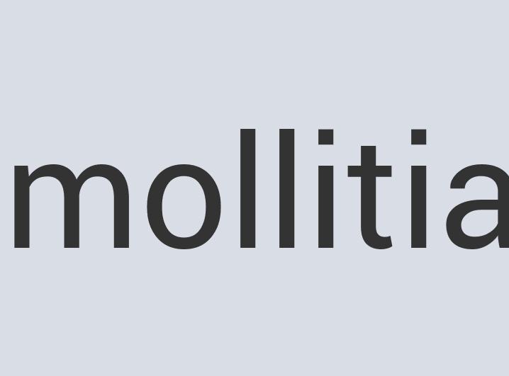 Heavy Duty Plastic Zentrapore