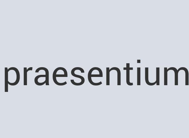 Ergonomic Silk Mongo Shag